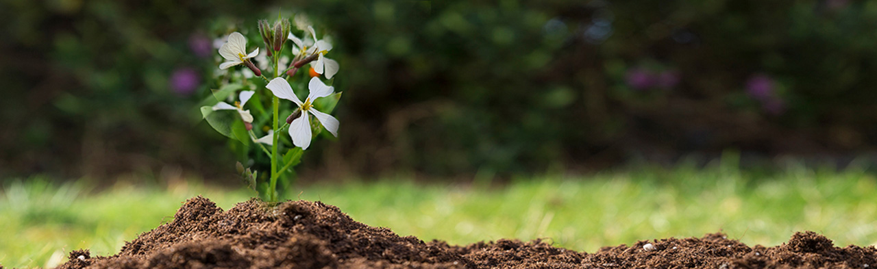 Nos engagements pour l’environnement